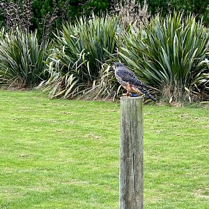 Flight Demonstration Target Pole