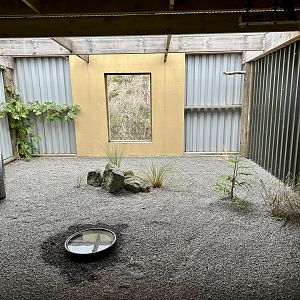 New Zealand Falcon Aviary 1