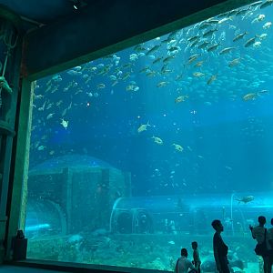 Vinpearl Land Phu Quoc Main Tank