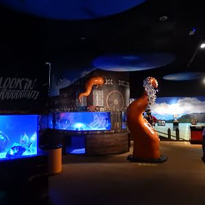 4/1/2025 - Savage Seas General View