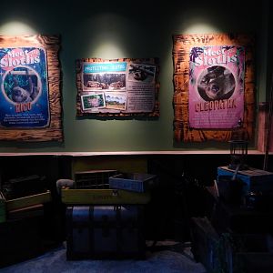 4/1/2025 - Meet the Sloths!