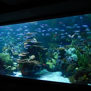 4/1/2025 - Rainbow Rock