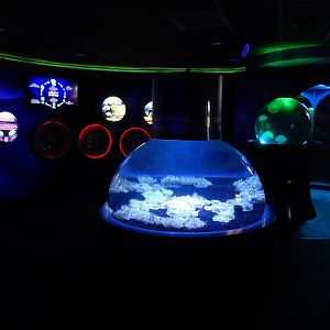 4/1/2025 - Planet Jellies General Area