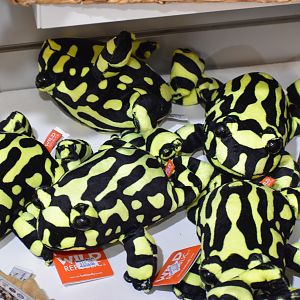 Corroboree Frog plush toys