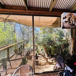 Quoll enclosure in café