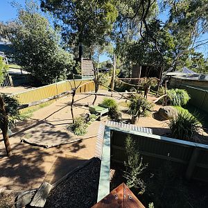 Quokka/koala enclosure