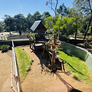 Tree kangaroo enclosure