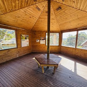 Koala and tree kangaroo building