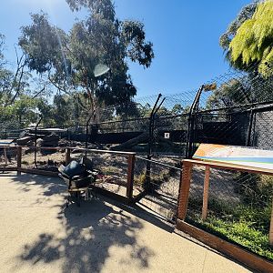 Dingo enclosure