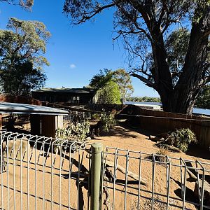 Wombat enclosure