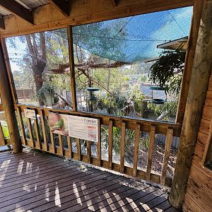 Eclectus parrot/Bush stone-curlew enclosure