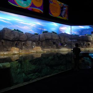 4/1/2025 - Penguin Playhouse General View