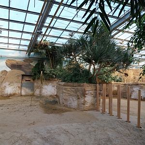 Rhino House - Eastern Black Rhinoceros (Diceros bicornis michaeli)