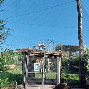 Vulture Aviary
