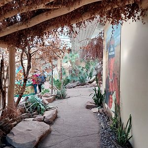 Elephant House - Exposition room