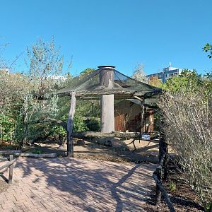 Elephant House - Domestic Guineafowl aviary