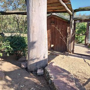 Elephant House - Domestic Guineafowl aviary