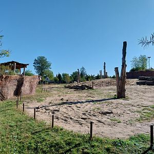 Elephant House - Domestic Guineafowl aviary