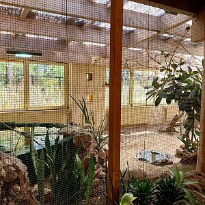 Giraffe House - Weaver aviary