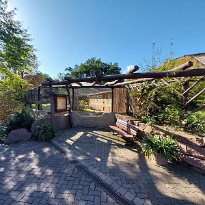 Giraffe House - Weaver aviary