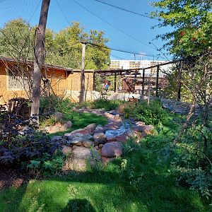 Giraffe House - Weaver aviary