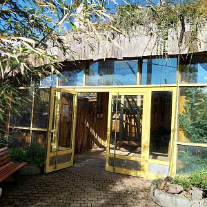 Monkey House - Entrance near Colobus monkeys