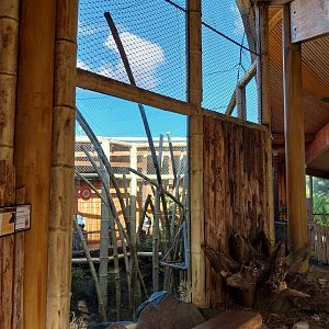 Monkey House - Tanzanian Black-and-White Colobus (Colobus angolensis palliatus)
