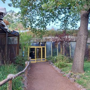Monkey House - Entrance near Northern Talapoin monkeys