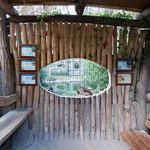 Monkey House - Flamingo vantage point