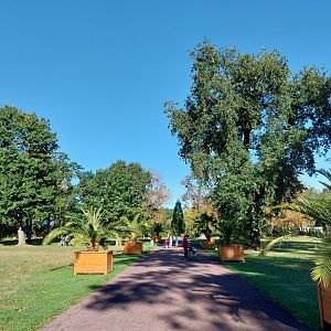 Vogelsang Park
