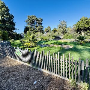 Aldabra Giant Tortoise enclosure