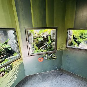 Frog house interior