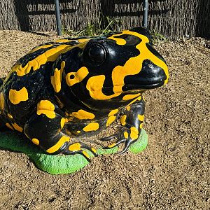 Corroboree frog statue