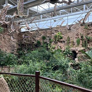 General view in the tropical section