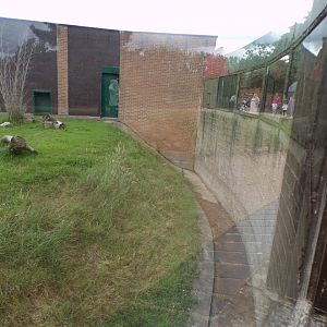 Moat next to primate enclosure 7.7.24