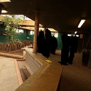 Tortoise house viewing area 7.7.24