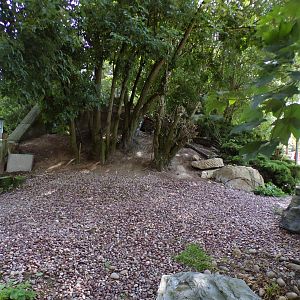 Humboldt penguin land section 7.7.24