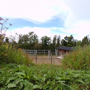 Nyala enclosure 7.7.24