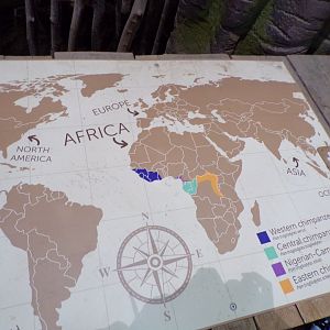 Chimp signage 7.7.24