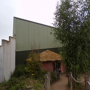 View of Chimpanzee Eden 7.7.24