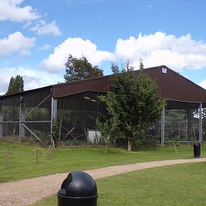 Rainbow lorikeet aviary 7.7.24
