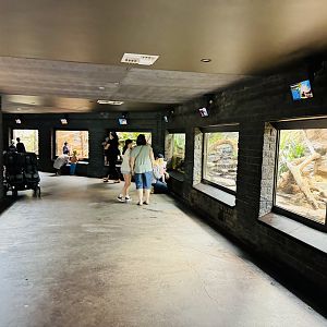 Reptile house general view