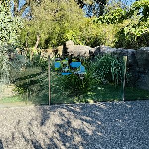 Small tortoise enclosure