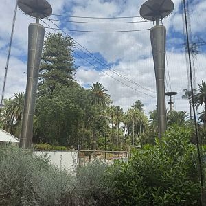Perth Zoo Gibbon crossing