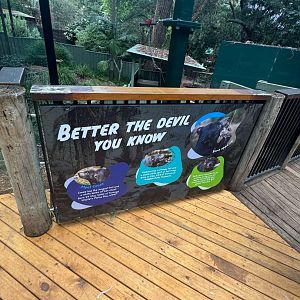 Upgraded Tasmanian Devil viewing bay