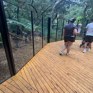 Upgraded Tasmanian Devil habitat and viewing