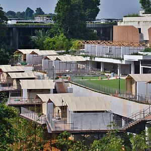 Colugo Camp (opening soon)