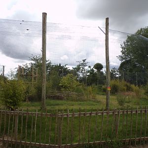 Sumatran tiger enclosure 7.7.24