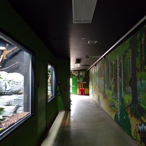 View alongside reptile enclosures in Gruffalo area 7.7.24