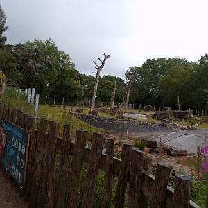 Black rhinoceros enclosure 7.7.24